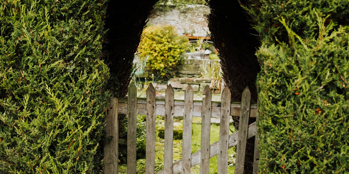 Lärmschutz im Garten: Hecke, Wand oder Hügel, oder warum die Maekawa-Formel von 1968 immer noch entscheidet, ob deine Terrasse zur Oase oder zum Verkehrsbalkon wird